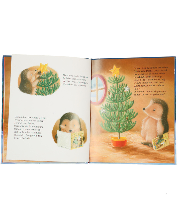 Der kleine Igel feiert Weihnachten Gebundenes Buch August 2018 M Christina Butler Tina Macnaughton Brunnen 3765568996 17